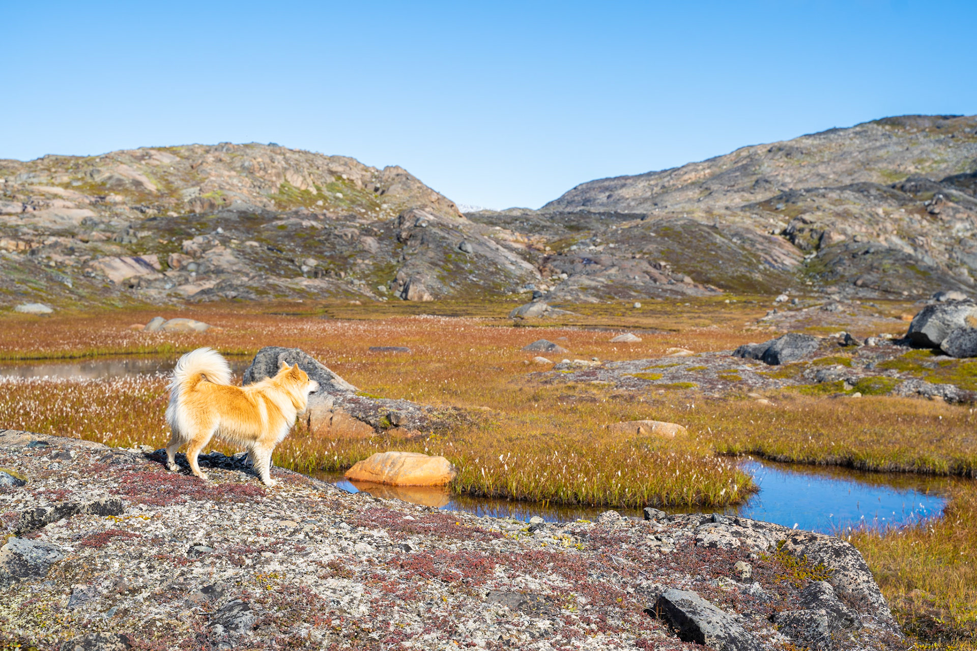 Snati during a long hike the station crew did to the glacier.