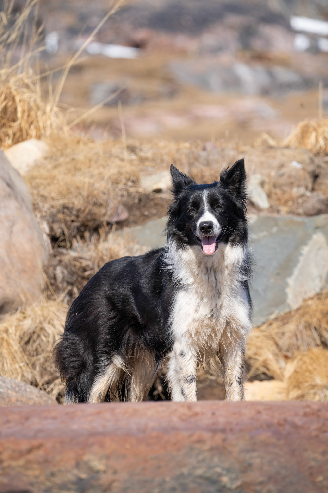 Chanel (named for Chanel West Coast by Aqqalooraq)