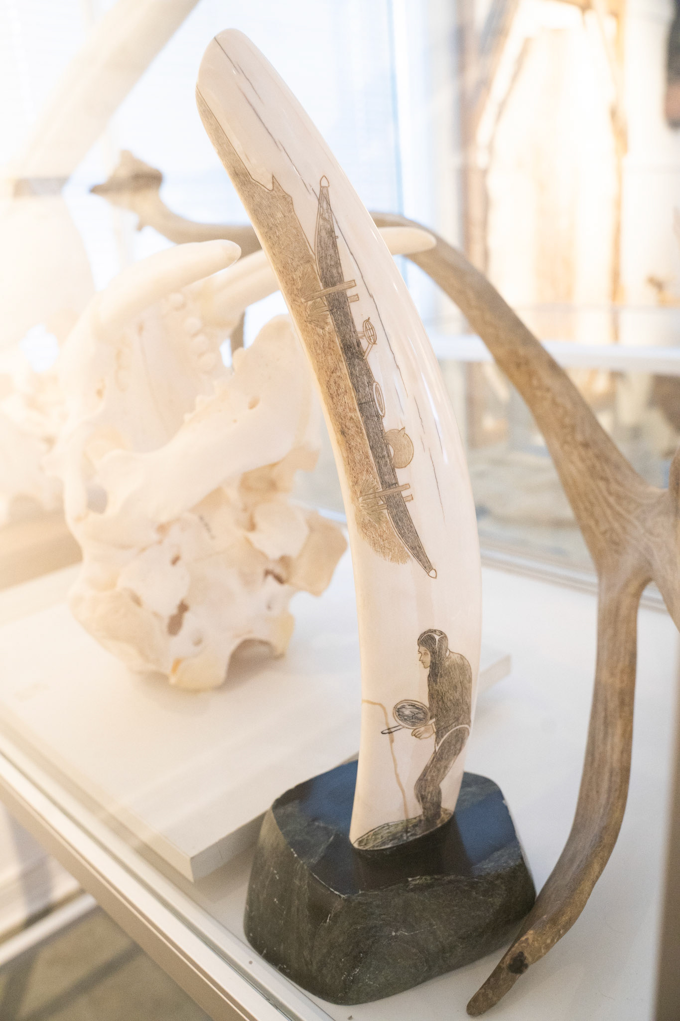 Carved walrus tusk in the Qaqortoq Museum.
