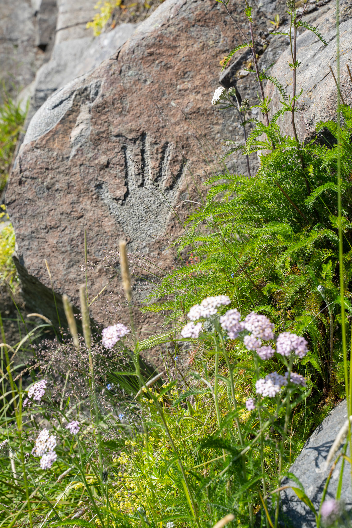 Carved sculpture of a hand with yarrow in the foreground in Qaqortoq.