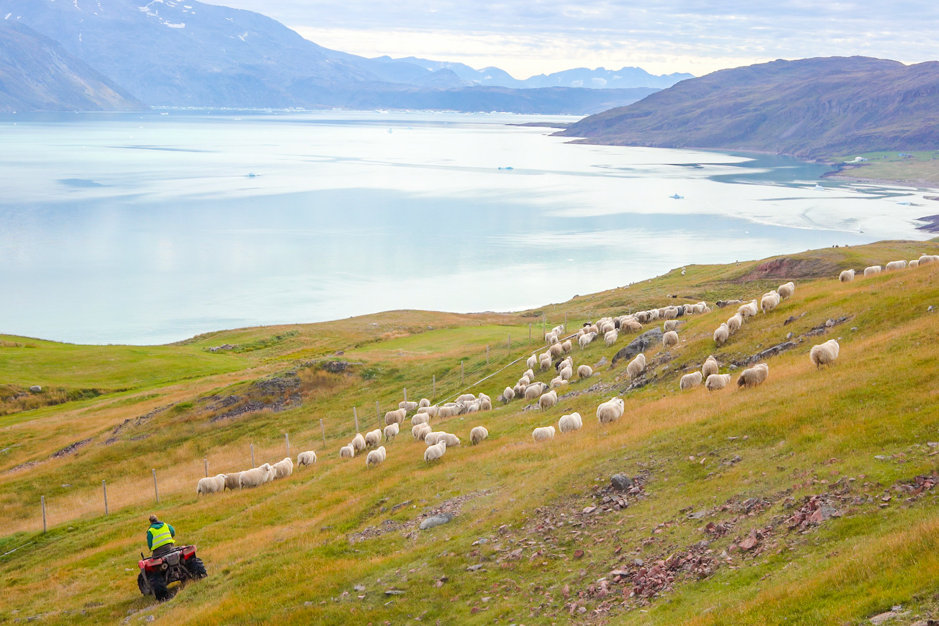 En route to Qassiarsuk.