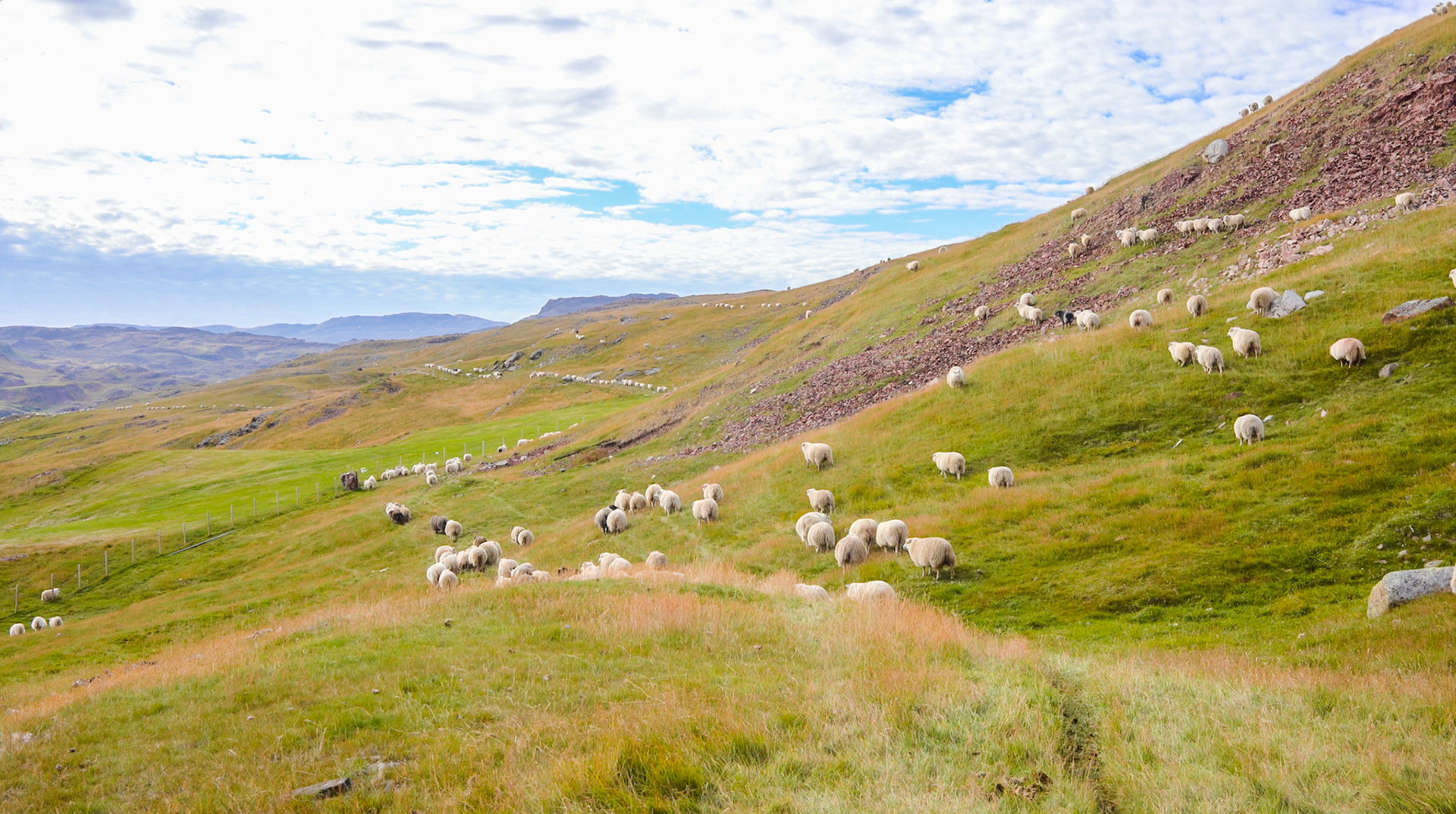 En route to Qassiarsuk.