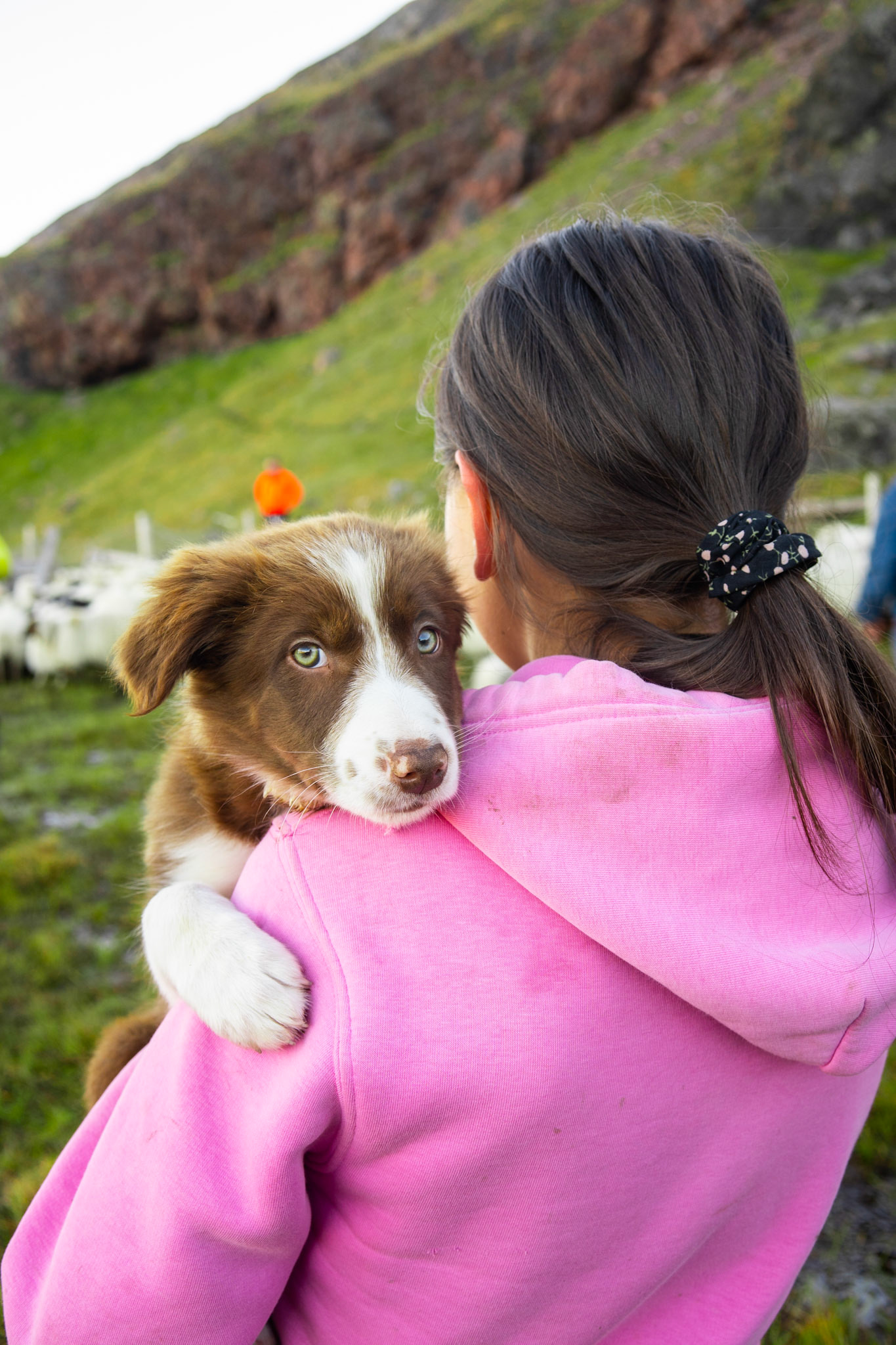Kira and a sheepdog-in-training at Inneruulalik.