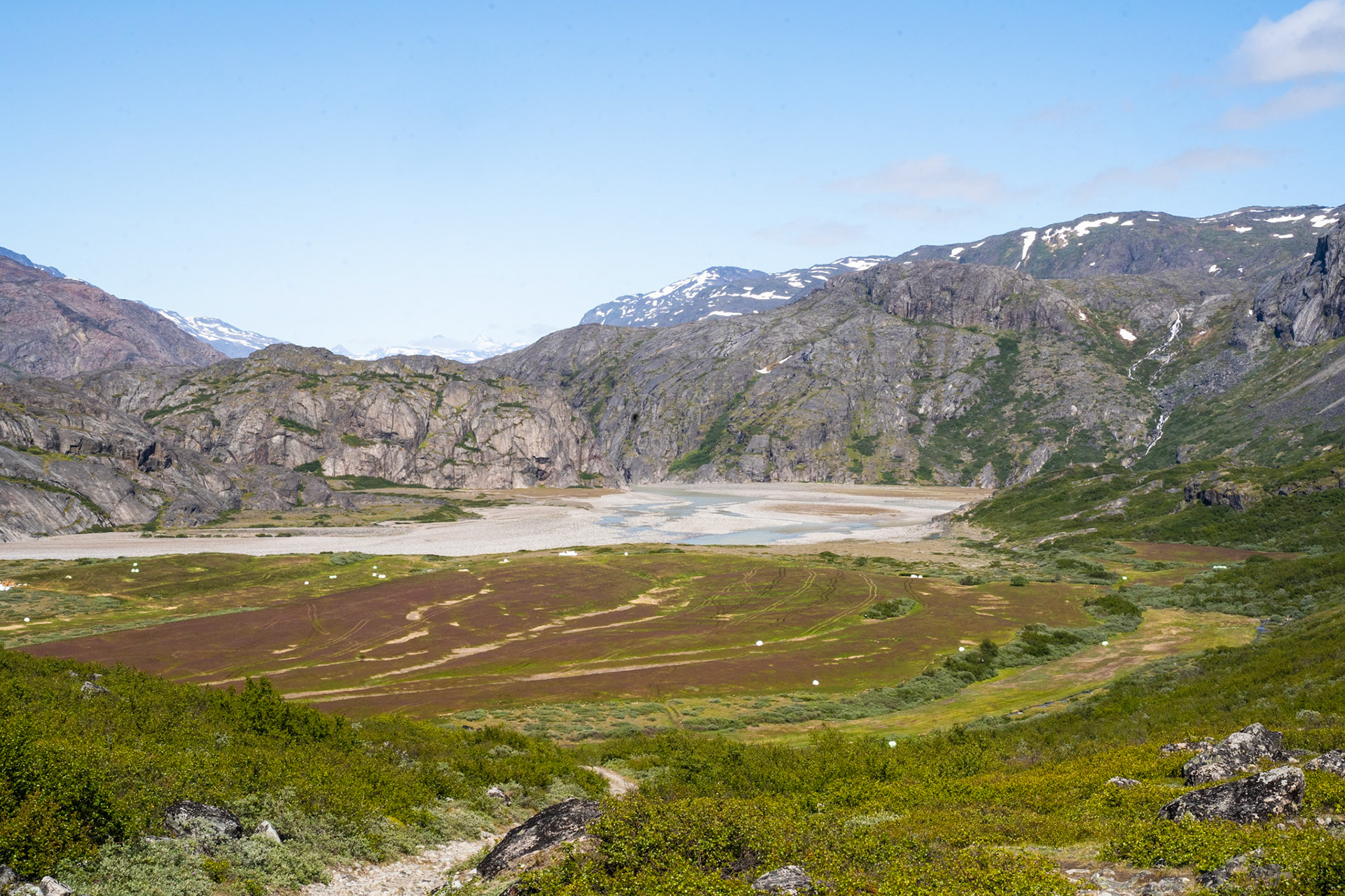 Flower valley in Narsarsuaq. Our path took us along the water and then straight up the mountain in the back.