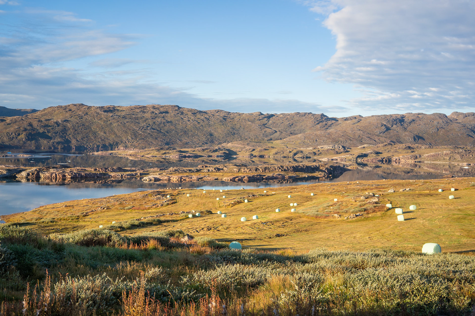 Tasiusaq, hay fields, and fjord waters.