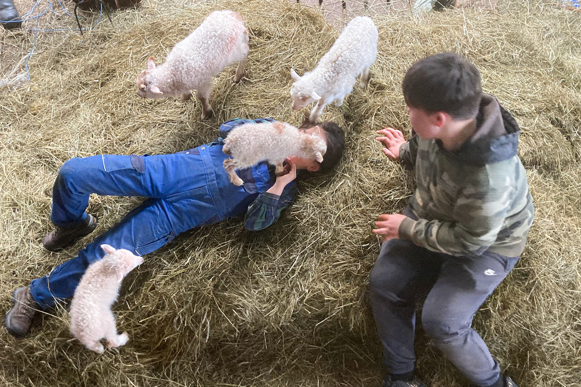 Kira and Kim playing with the bottlefeds. (Taken on my phone)