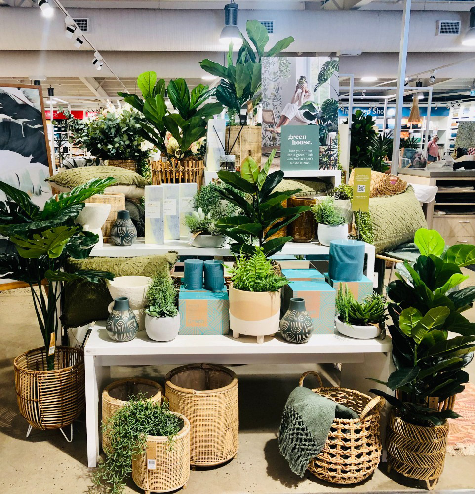 Indoor plants creating a calming space