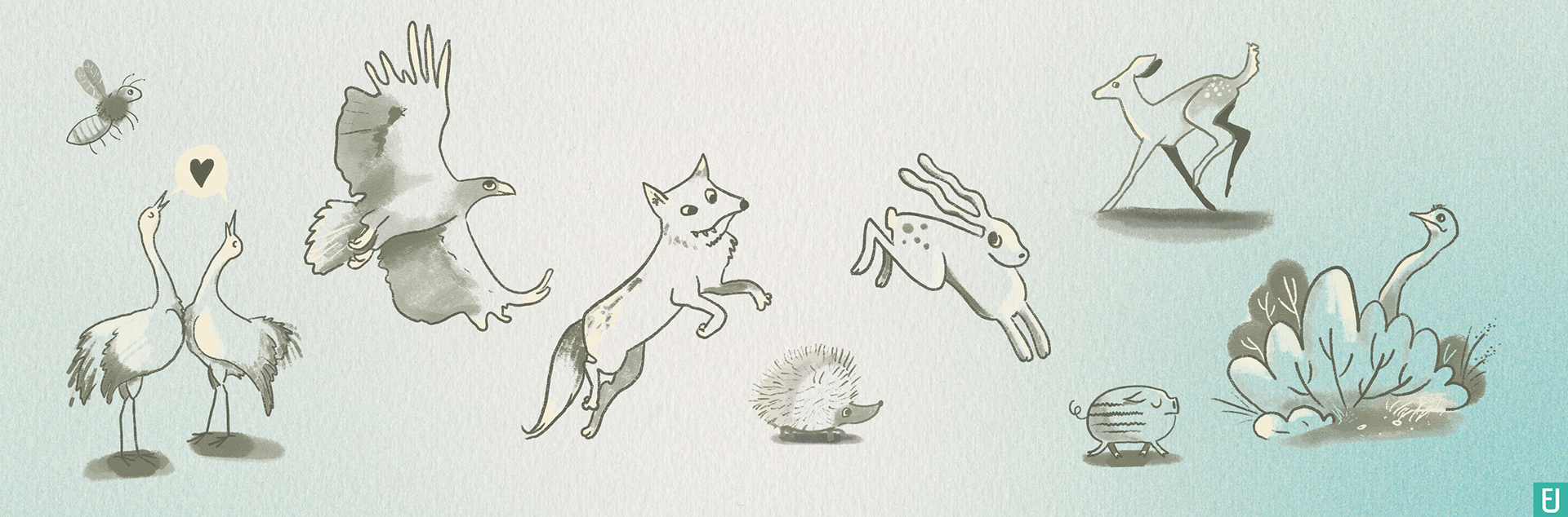 Mecklenburg-Vorpommerns wilde Natur