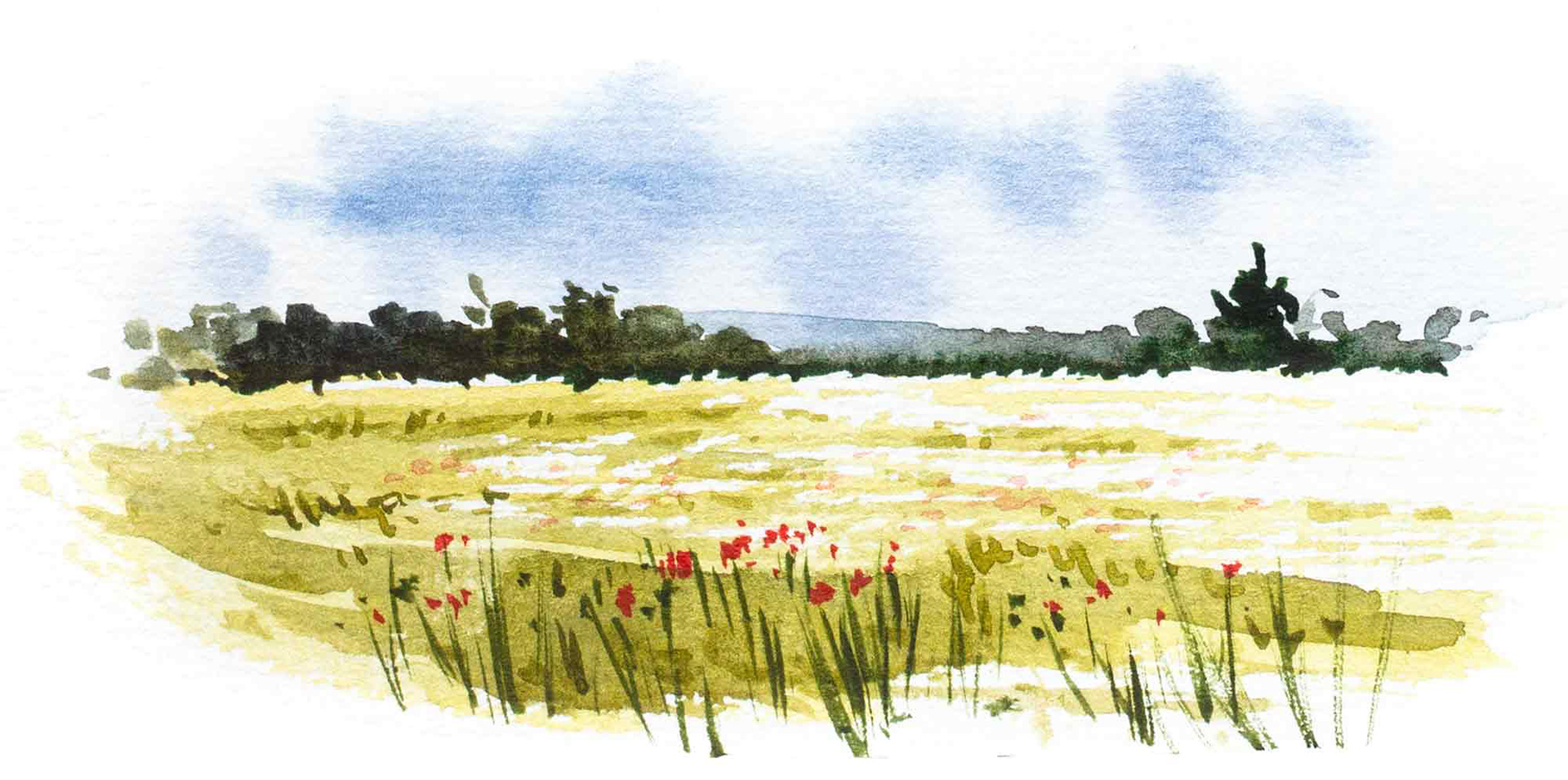 Einfache Landschaft mit Blumenwiese und Bäumen