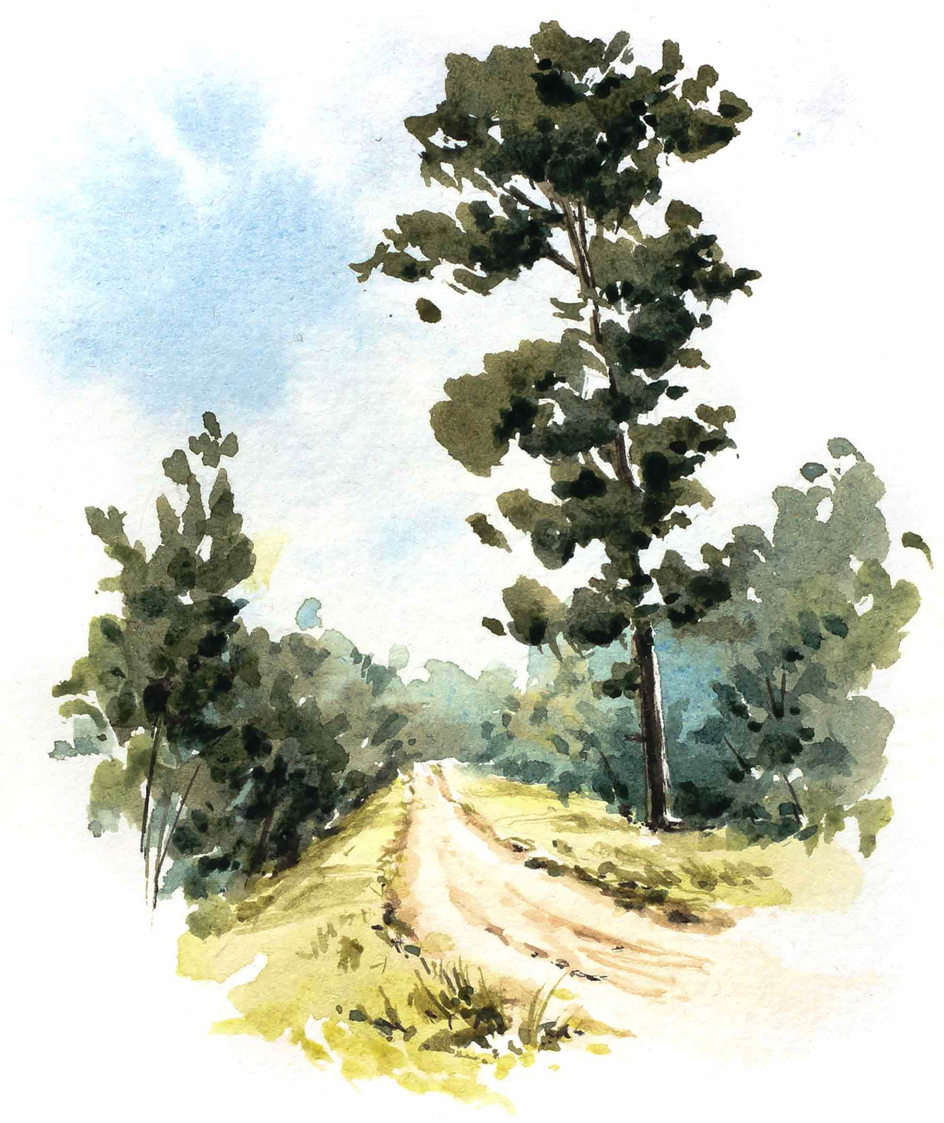 Weg im Wald