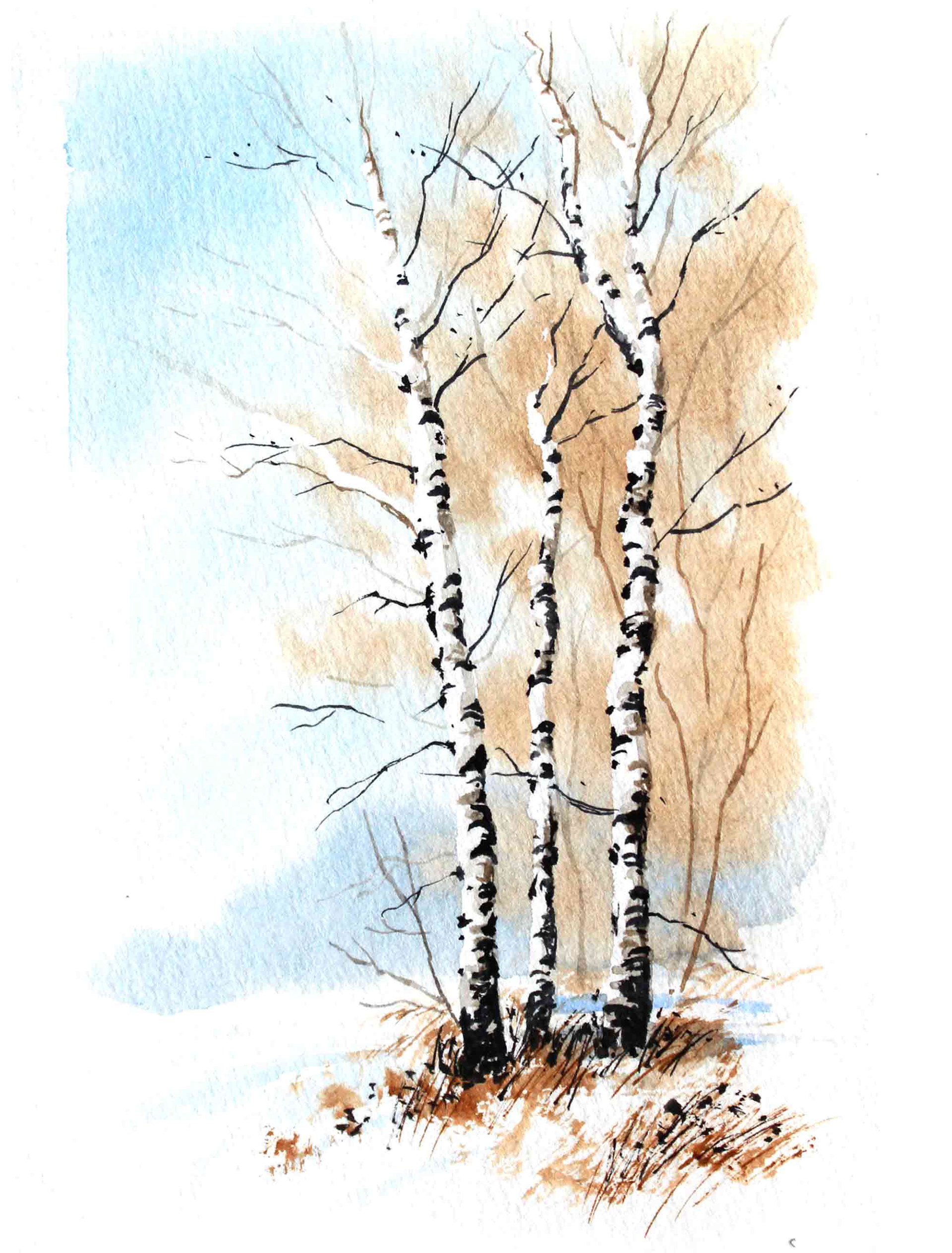 Kahle Birken im Schnee