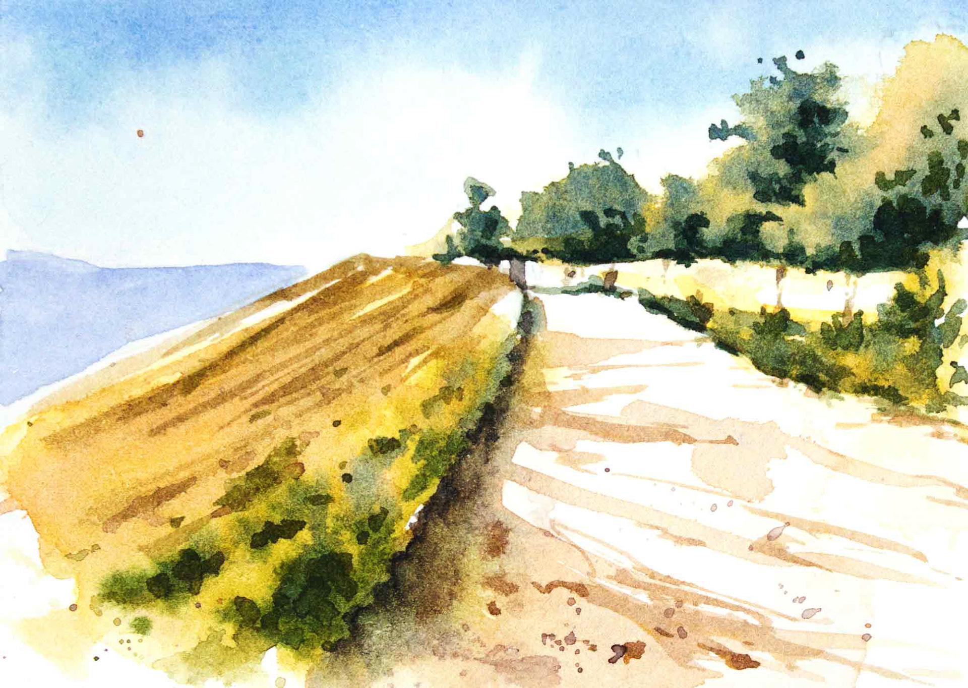 Weinberge in Esslingen