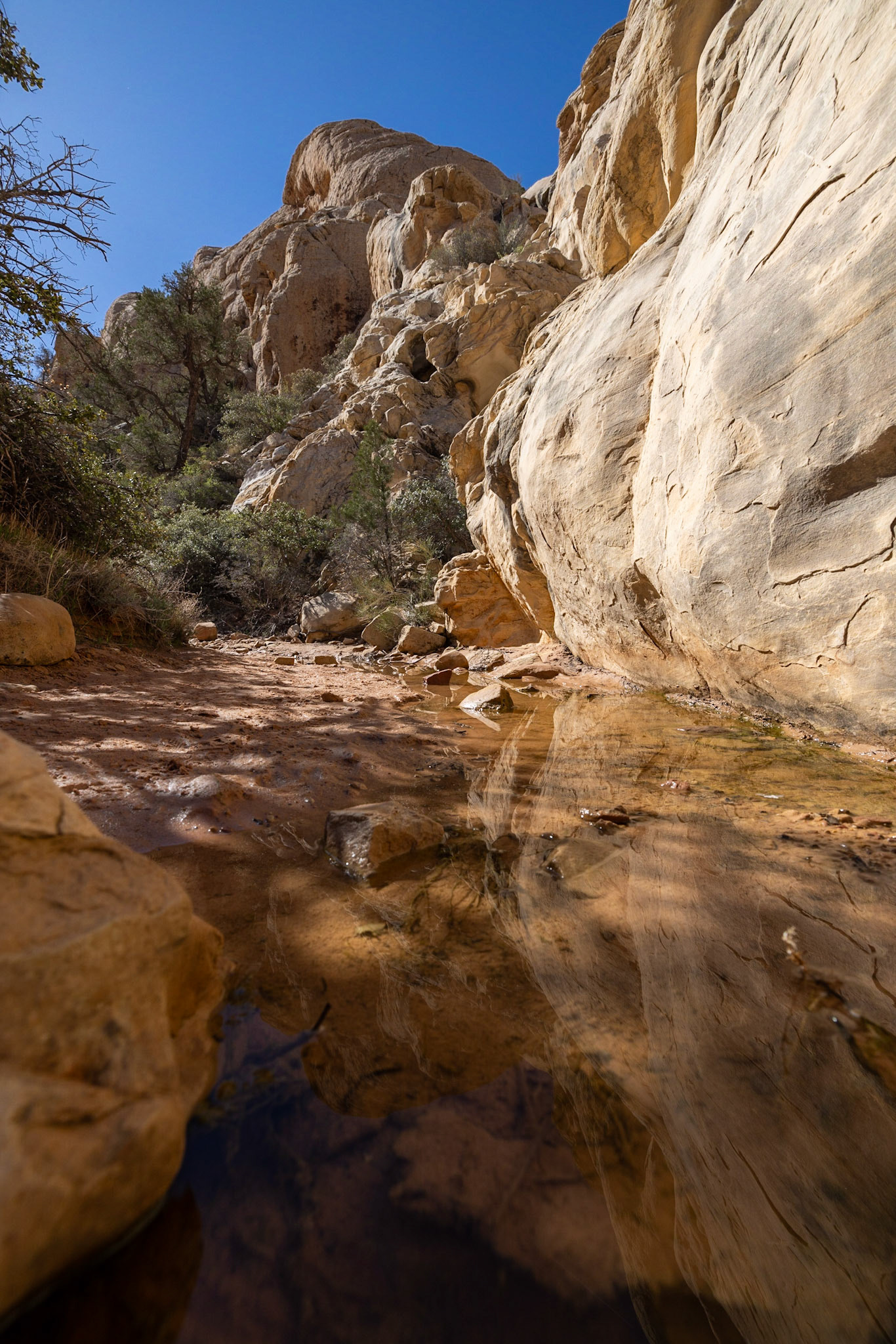 hiking near to Las Vegas