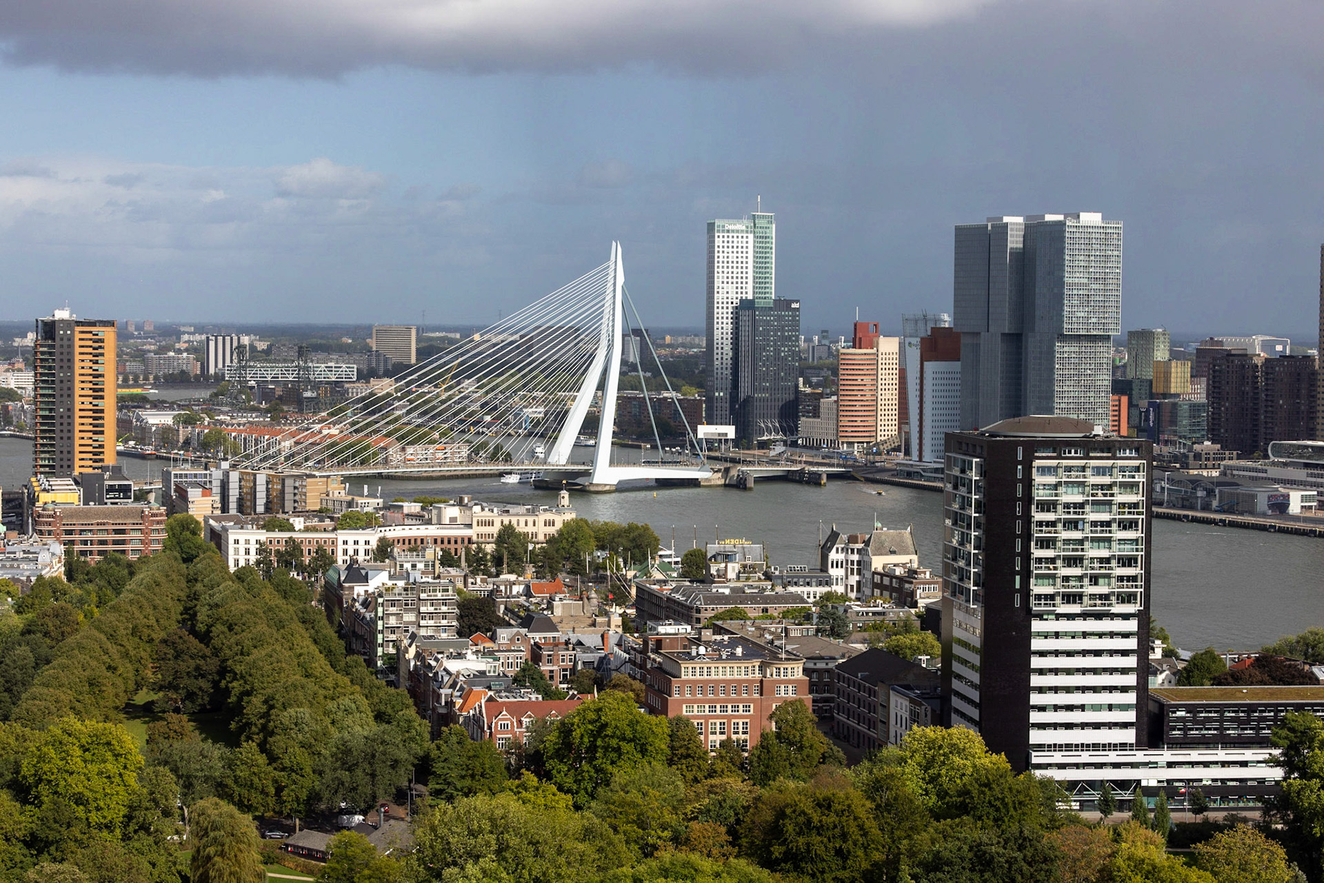 Erasmus bridge with skyscrapers in the background