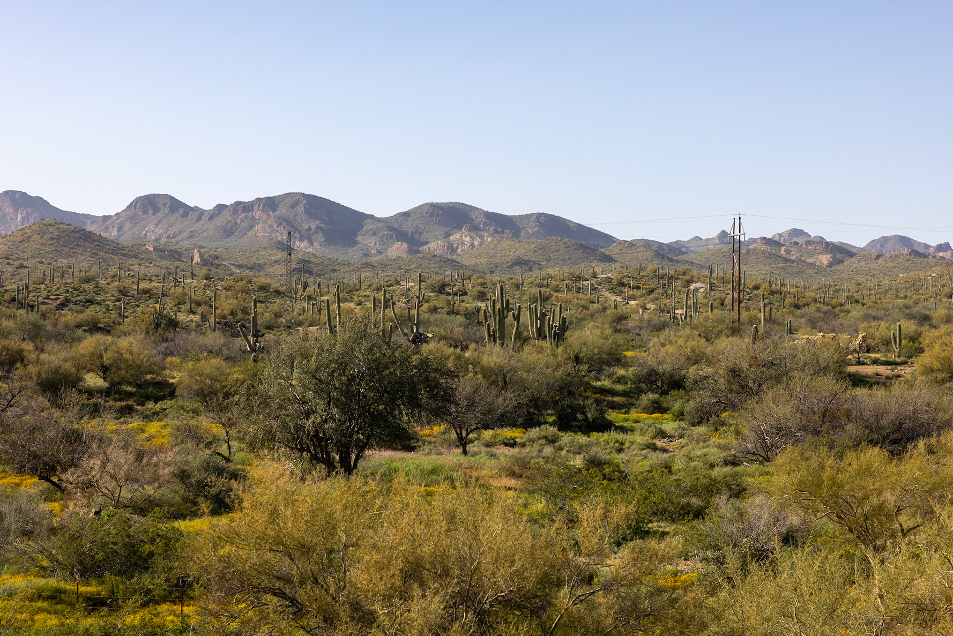 Goldfield Ghost Town