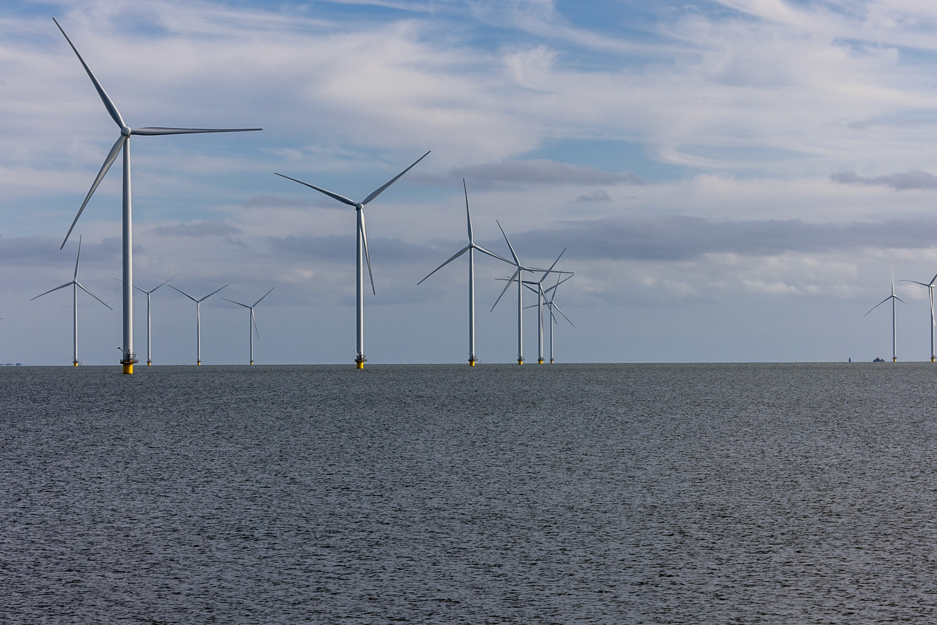 The wind farms in the North Sea stretch for kilometers.