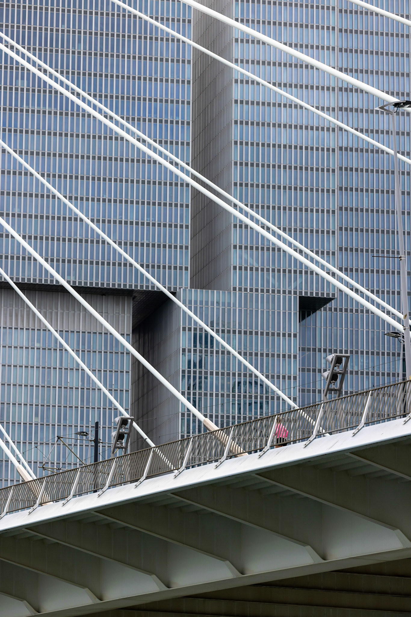 Erasmus bridge with skyscrapers in the background