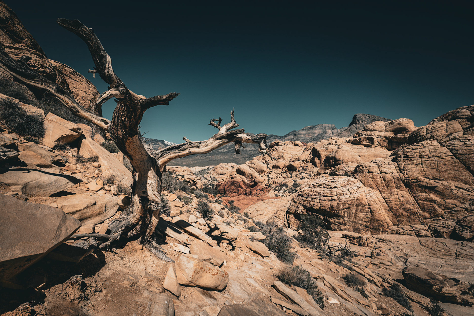 hiking near to Las Vegas