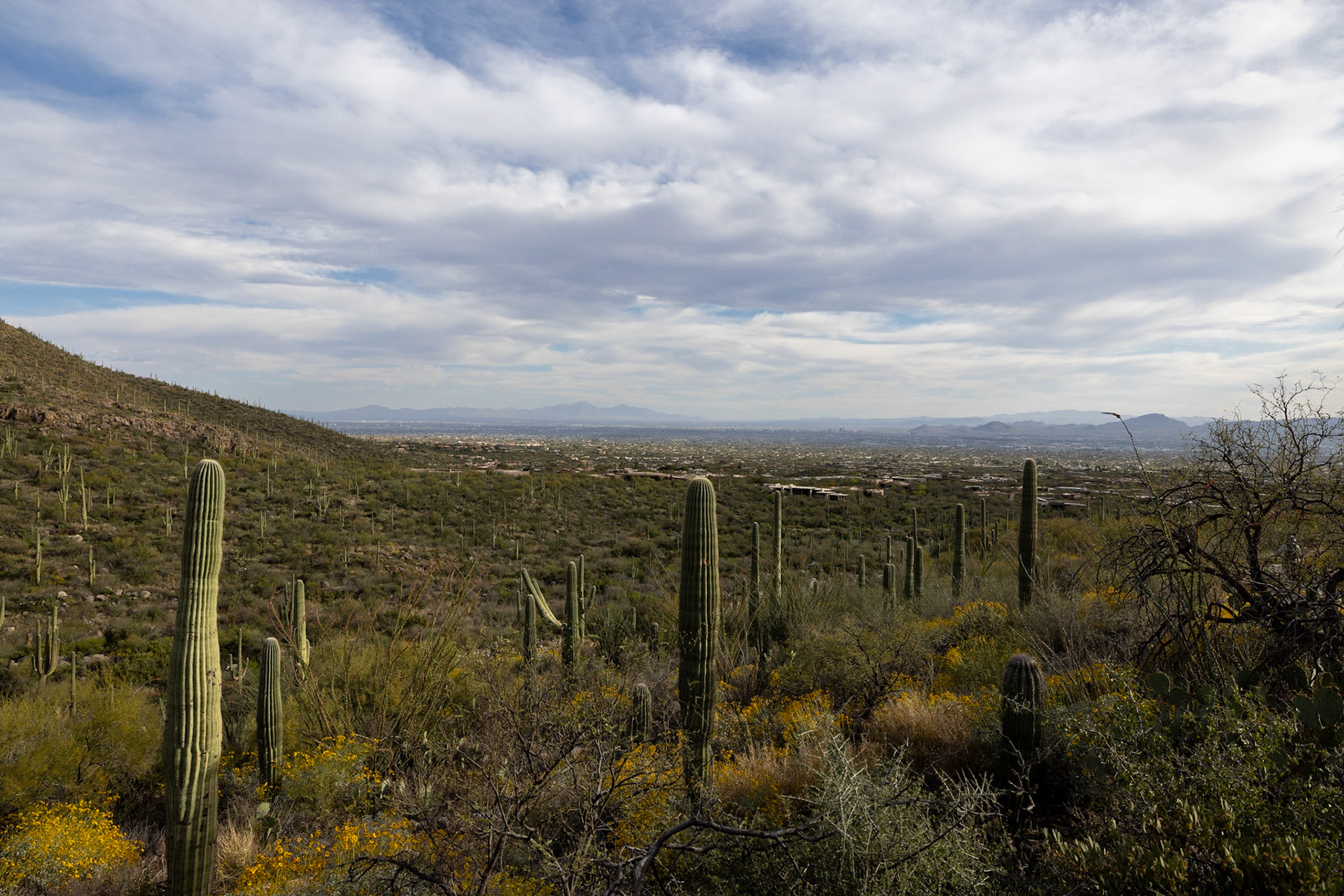 hiking in Tucson