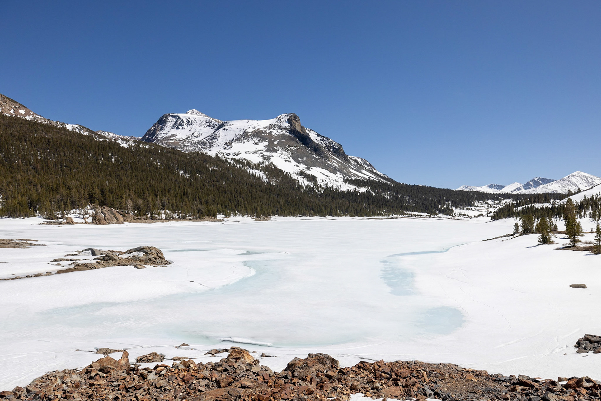 Yosemite National Park