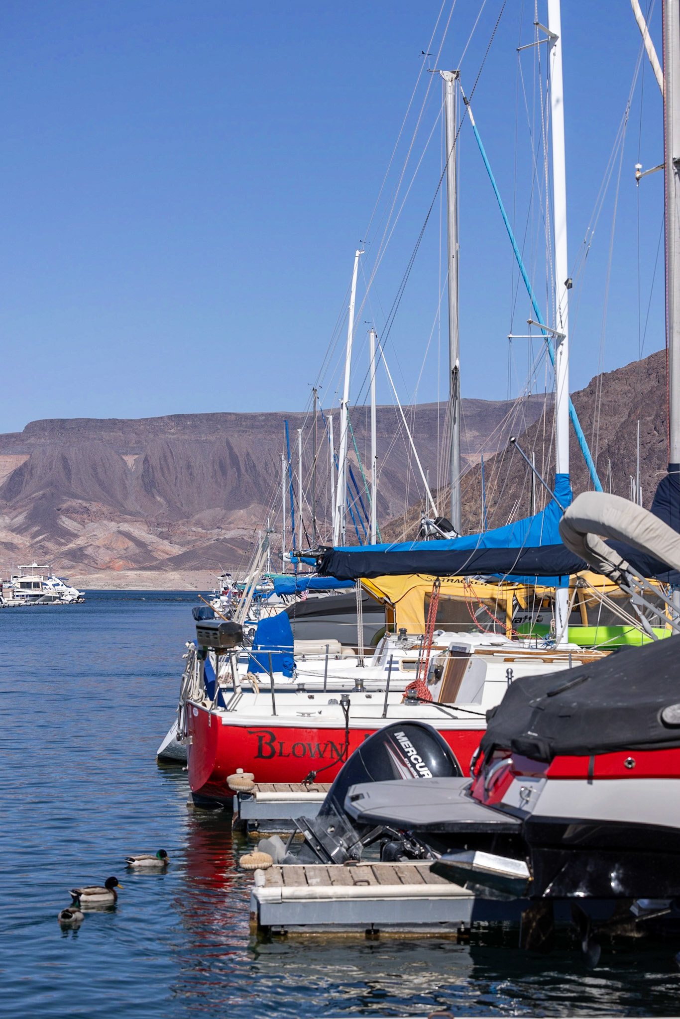 Lake Mead - Marina