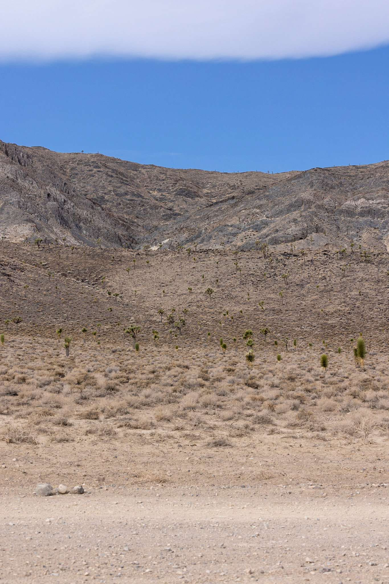 Death Valley desert