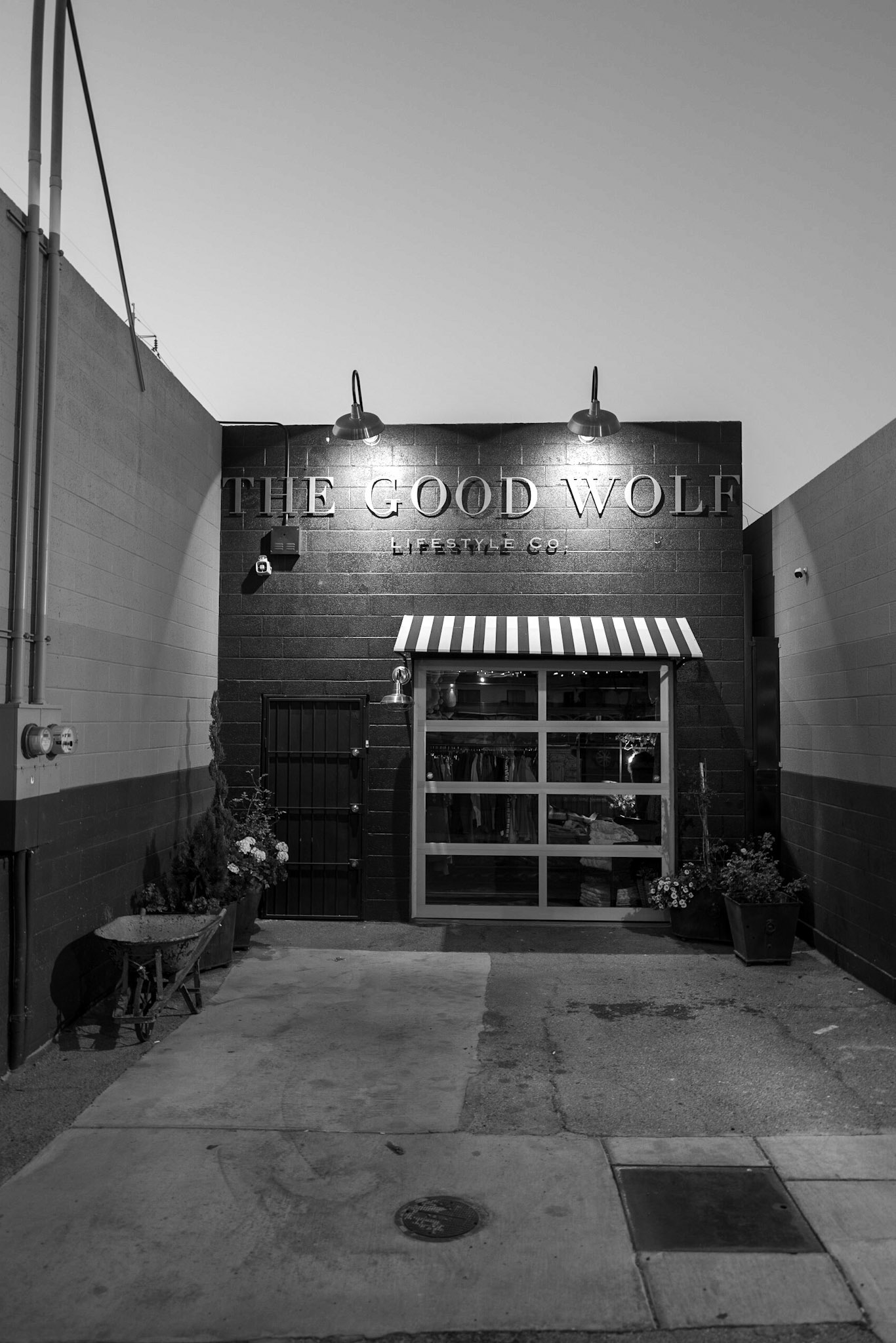 Las Vegas The good wolf
