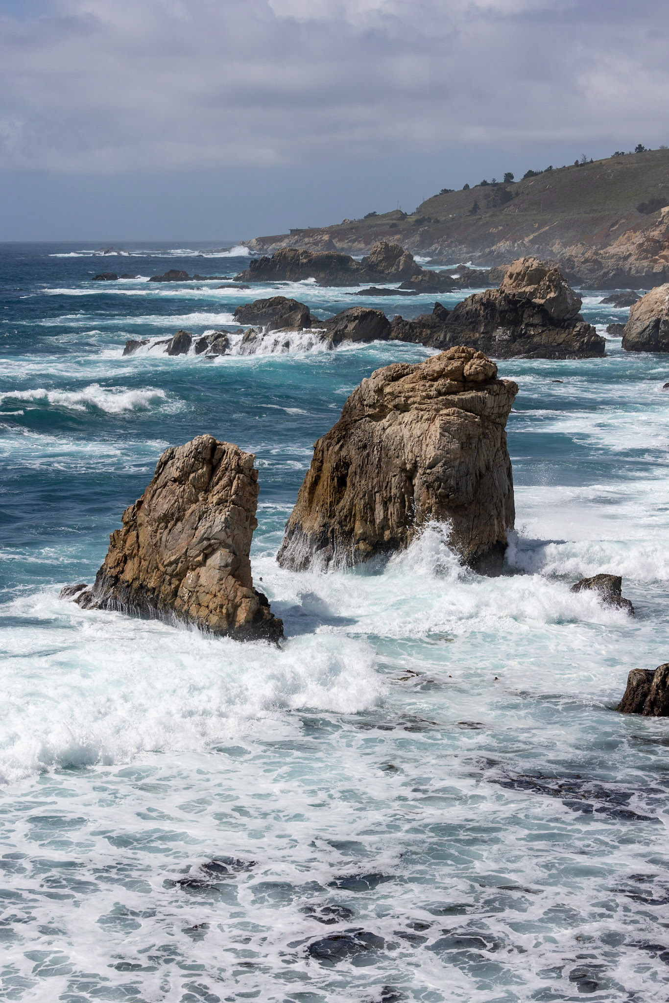 on the west coast and the route 1 running next to it you will find breathtaking coasts