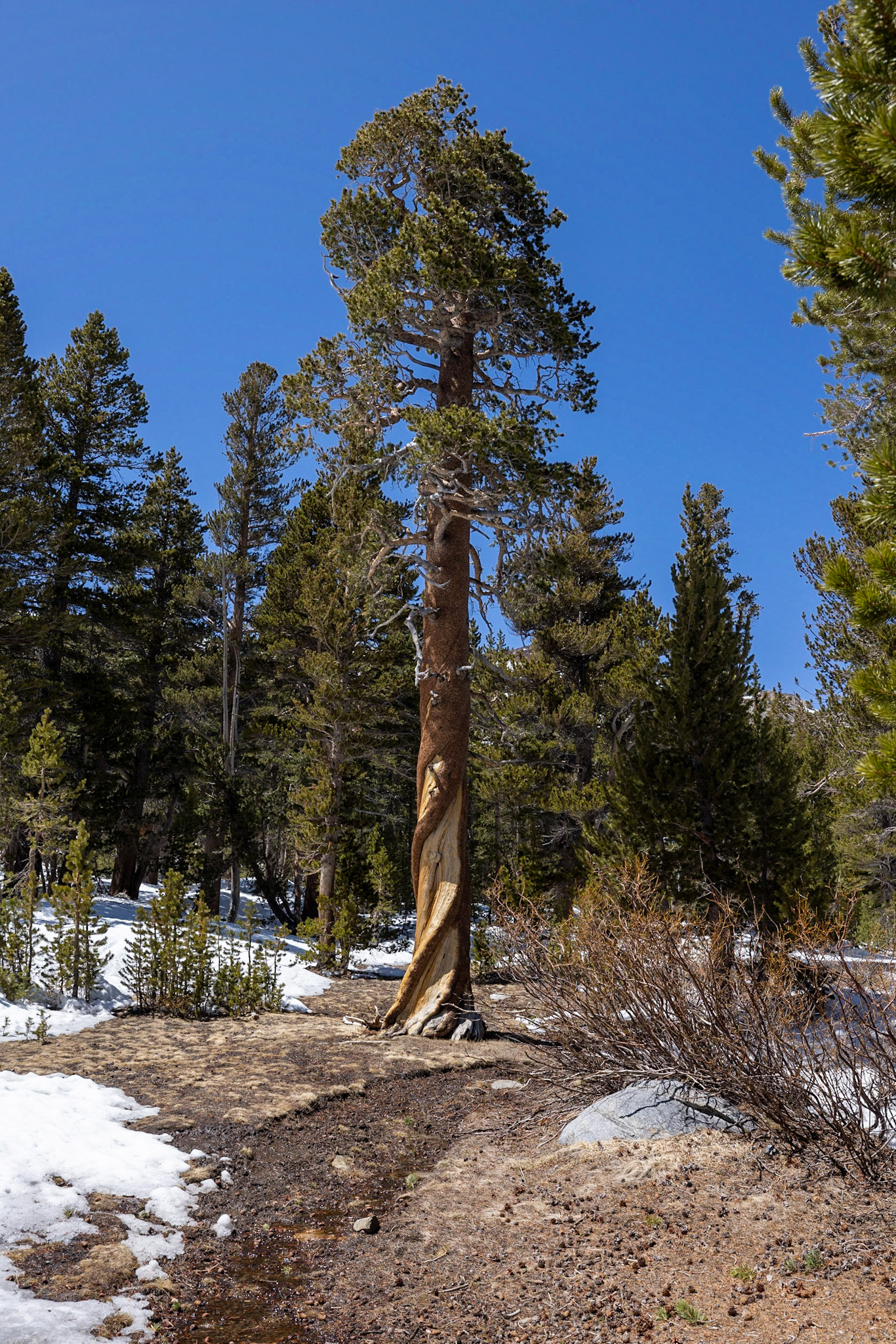 Yosemite National Park