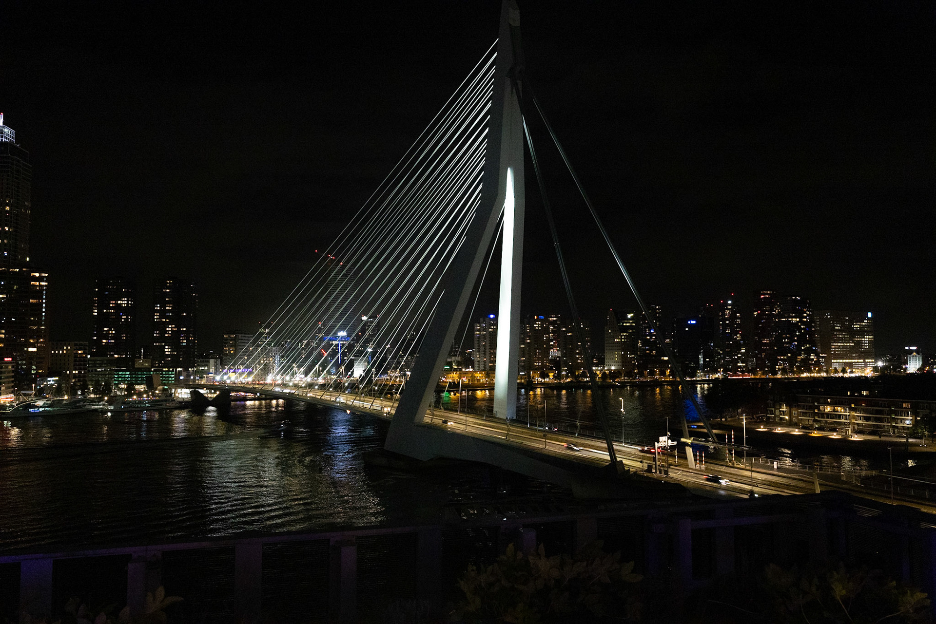 view from a bar to the erasmus bridge and the skyline