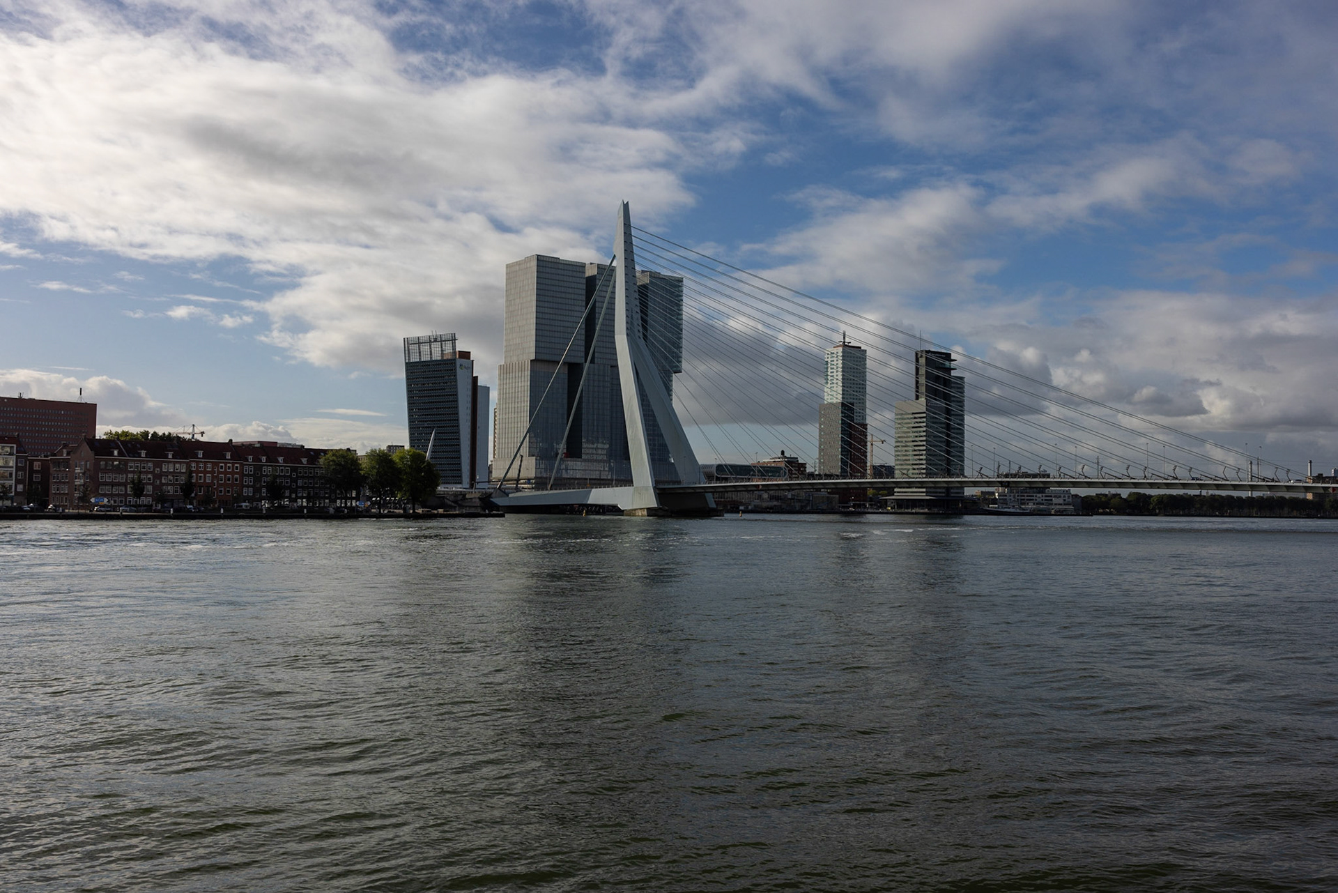Erasmus bridge with skyscrapers in the background