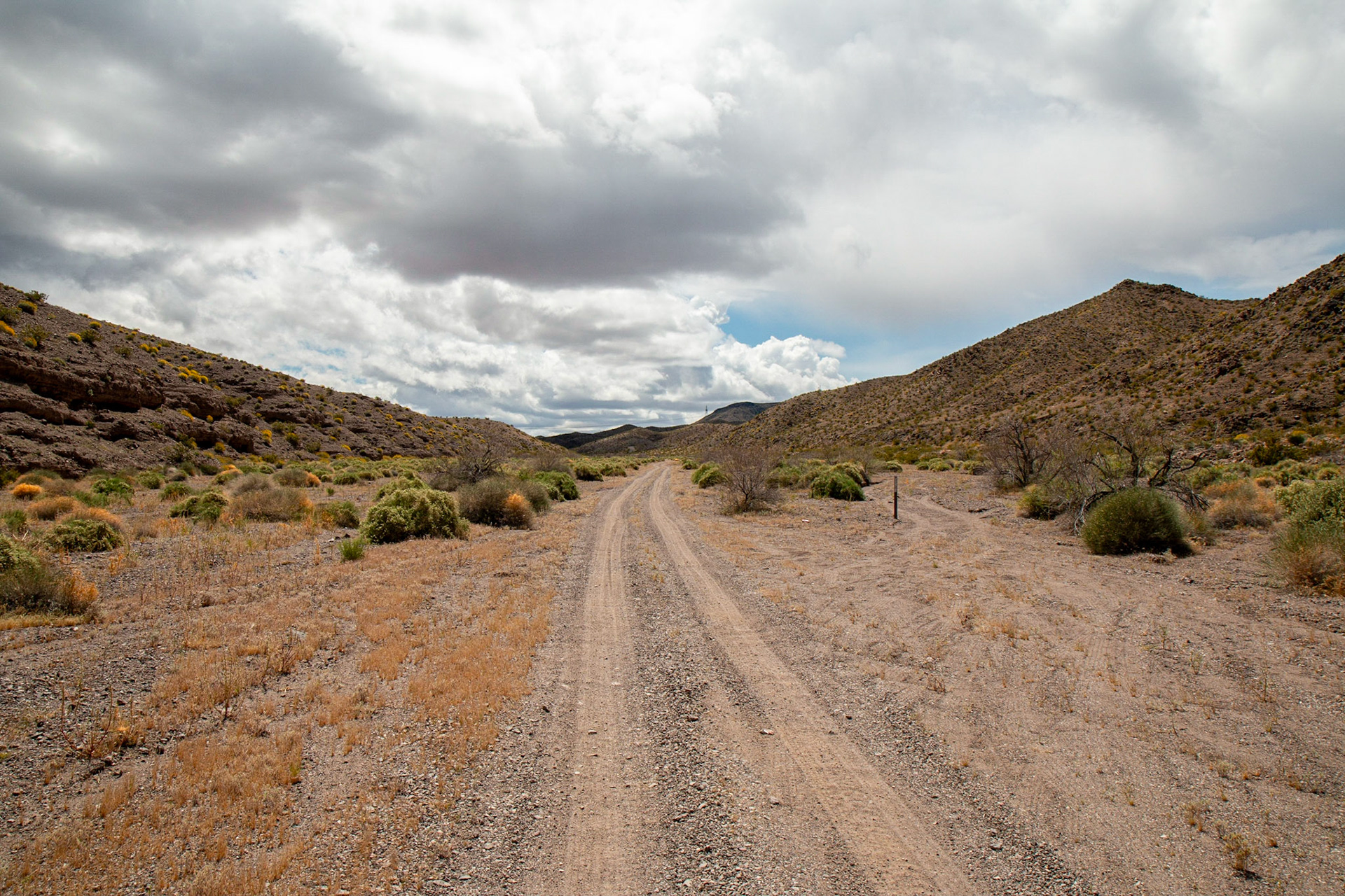 Desert Road