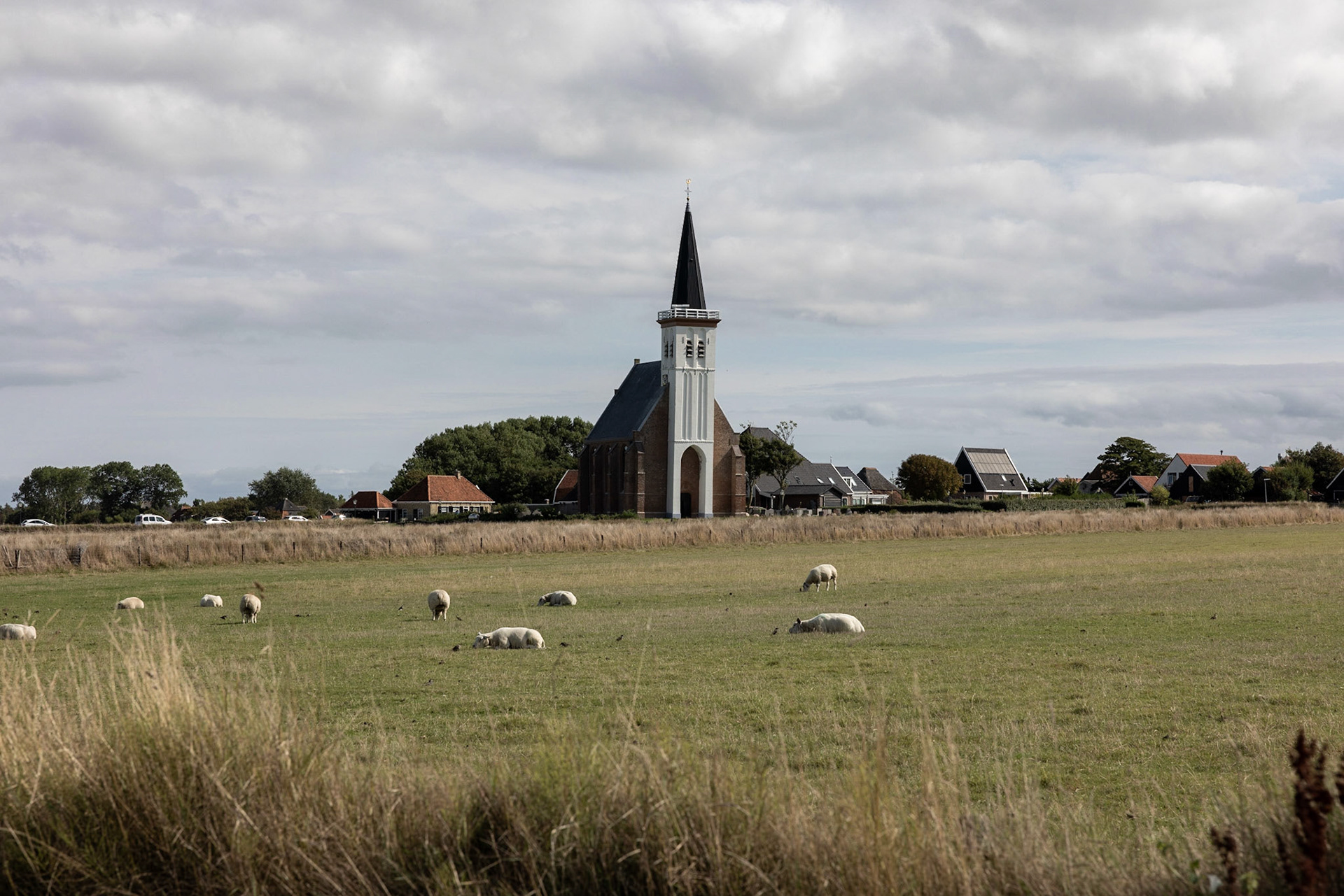 the church Kerk Den Hoorn with sheep on the meadow in front of it