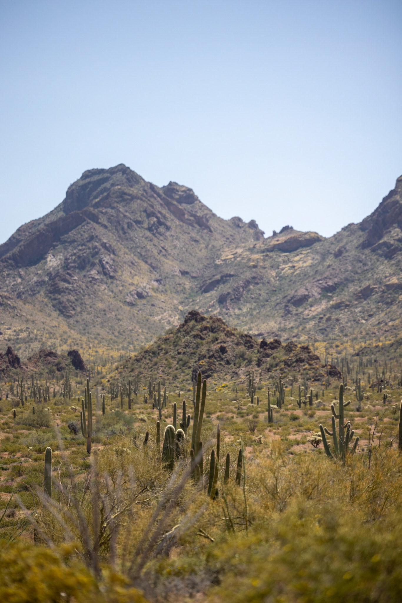 Mexico-United States border