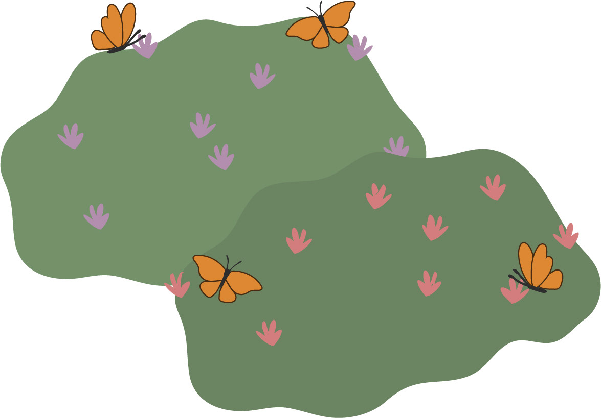 Mariposas