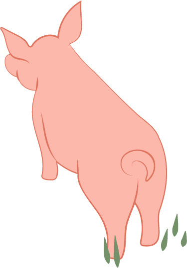 Cerdo