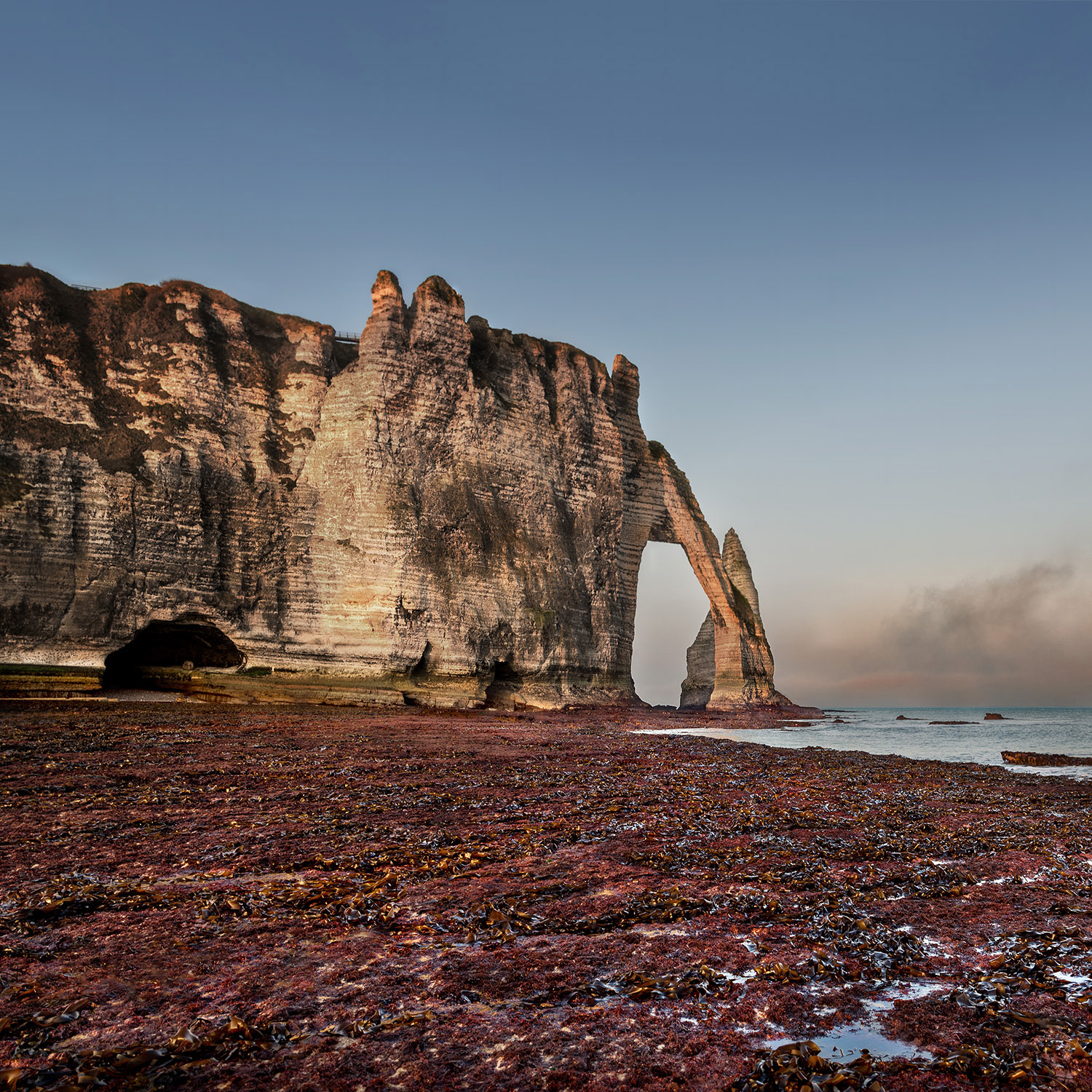 Romain Terwingen