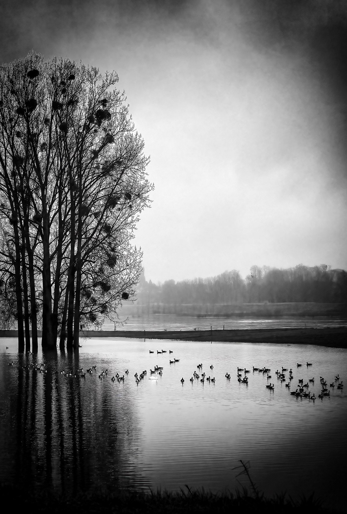 Georges Houben