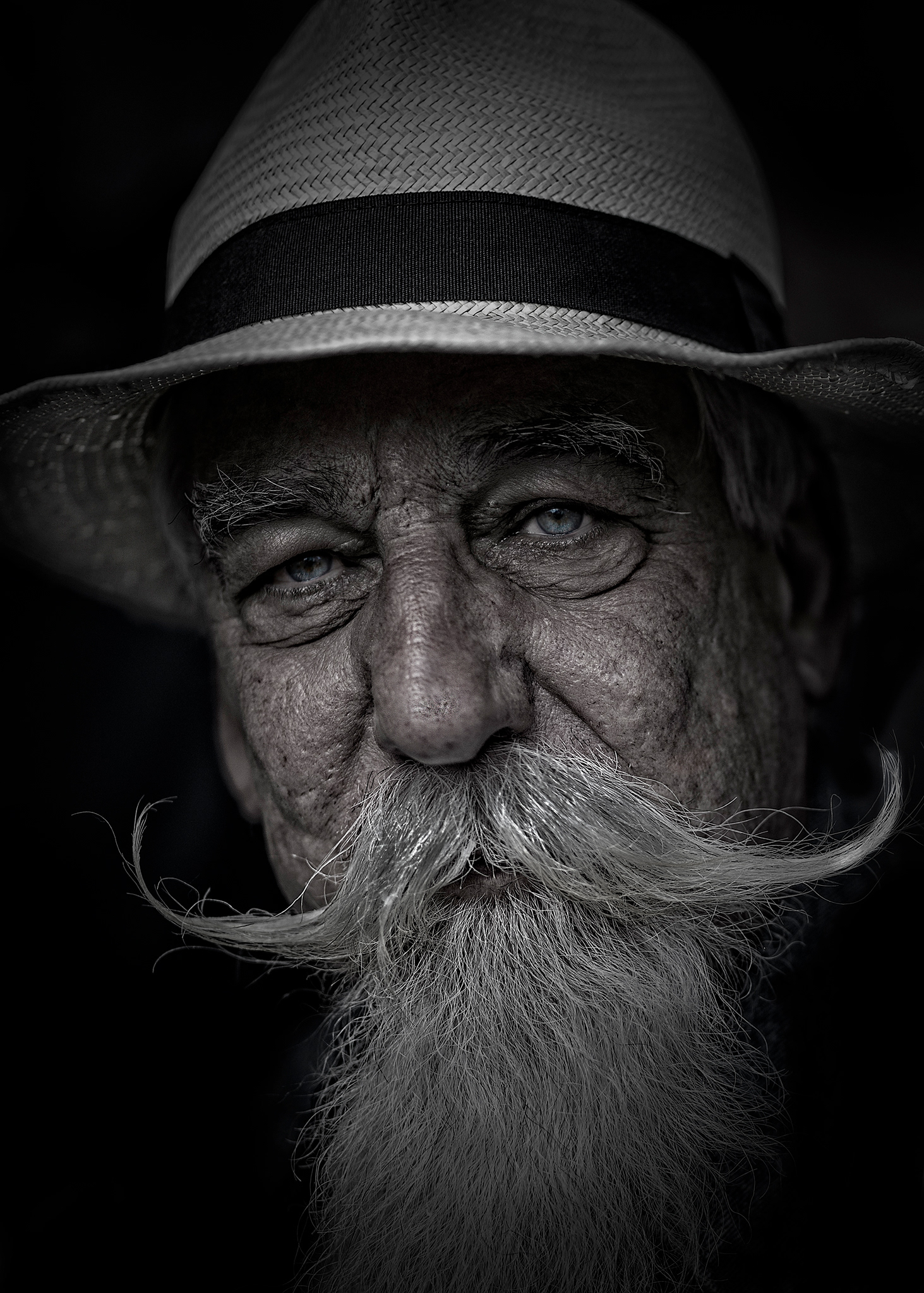 Phil Hermans