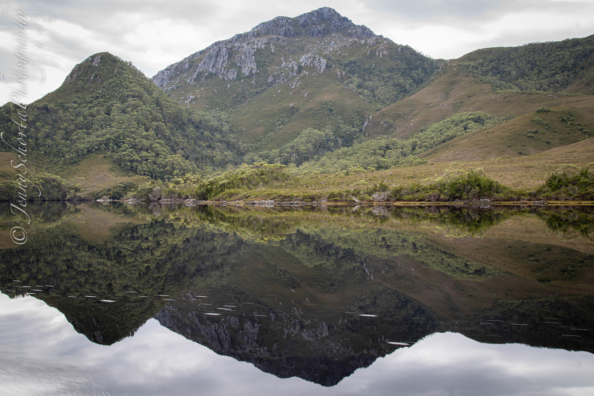Bathurst Harbour reflections