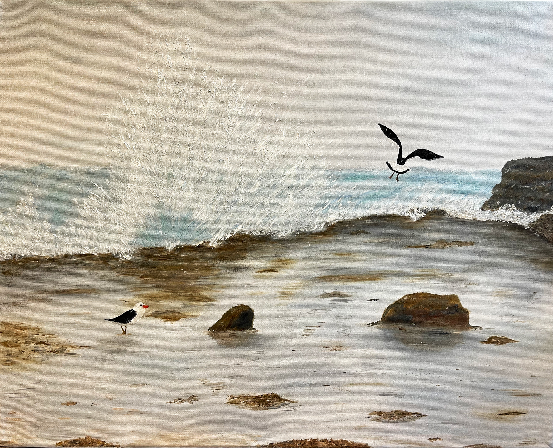 South Arm Coastline - Oil on canvas