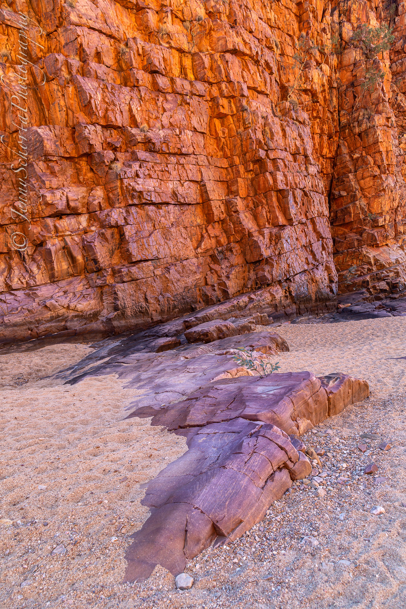 Ormanston Gorge