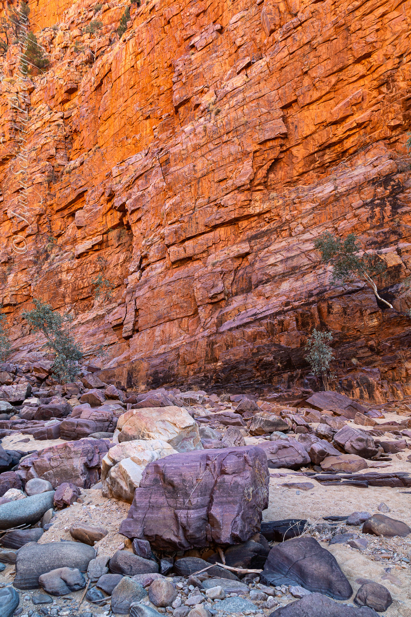 Ormanston Gorge