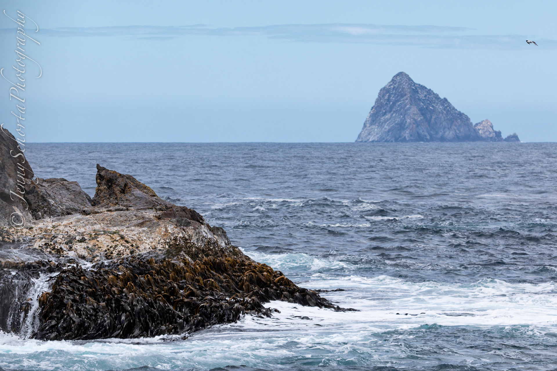 View out to Mewstone Island