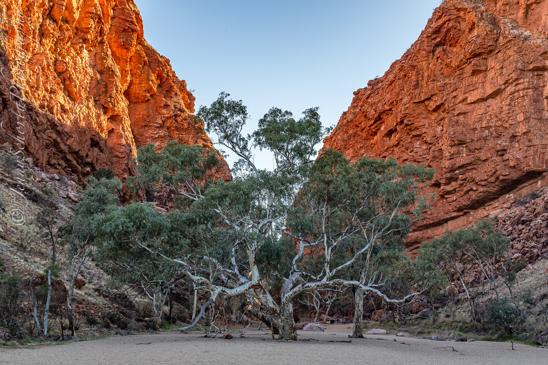 Simpsons Gap
