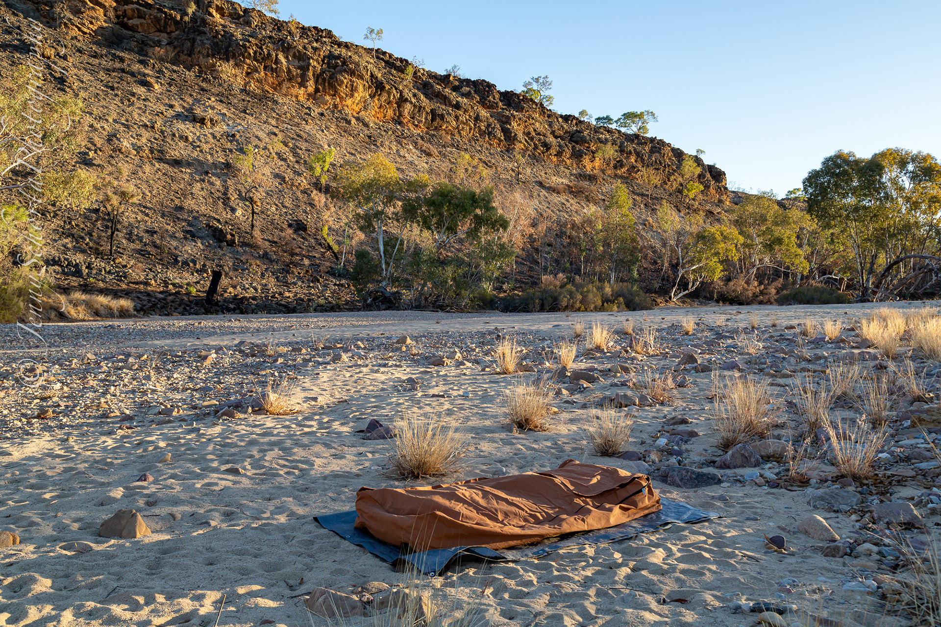 Swap sleeping in the River Bed