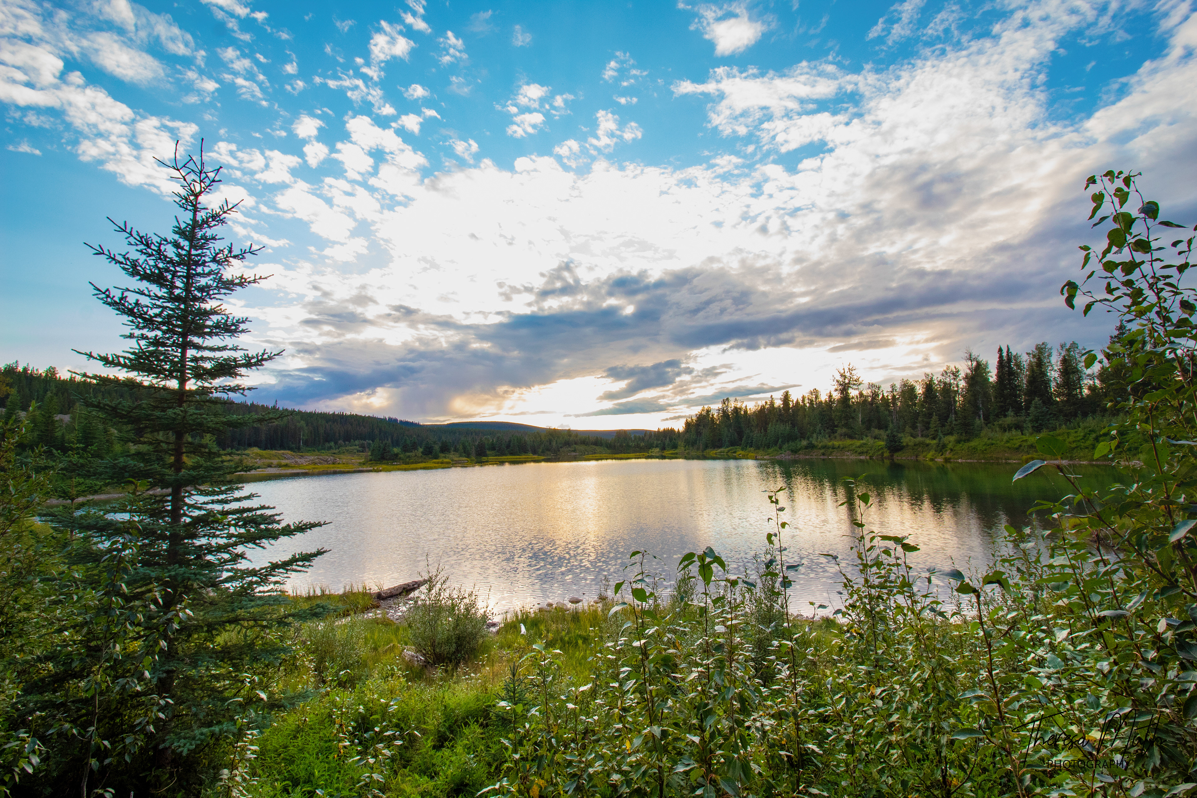 Backroads, Alberta