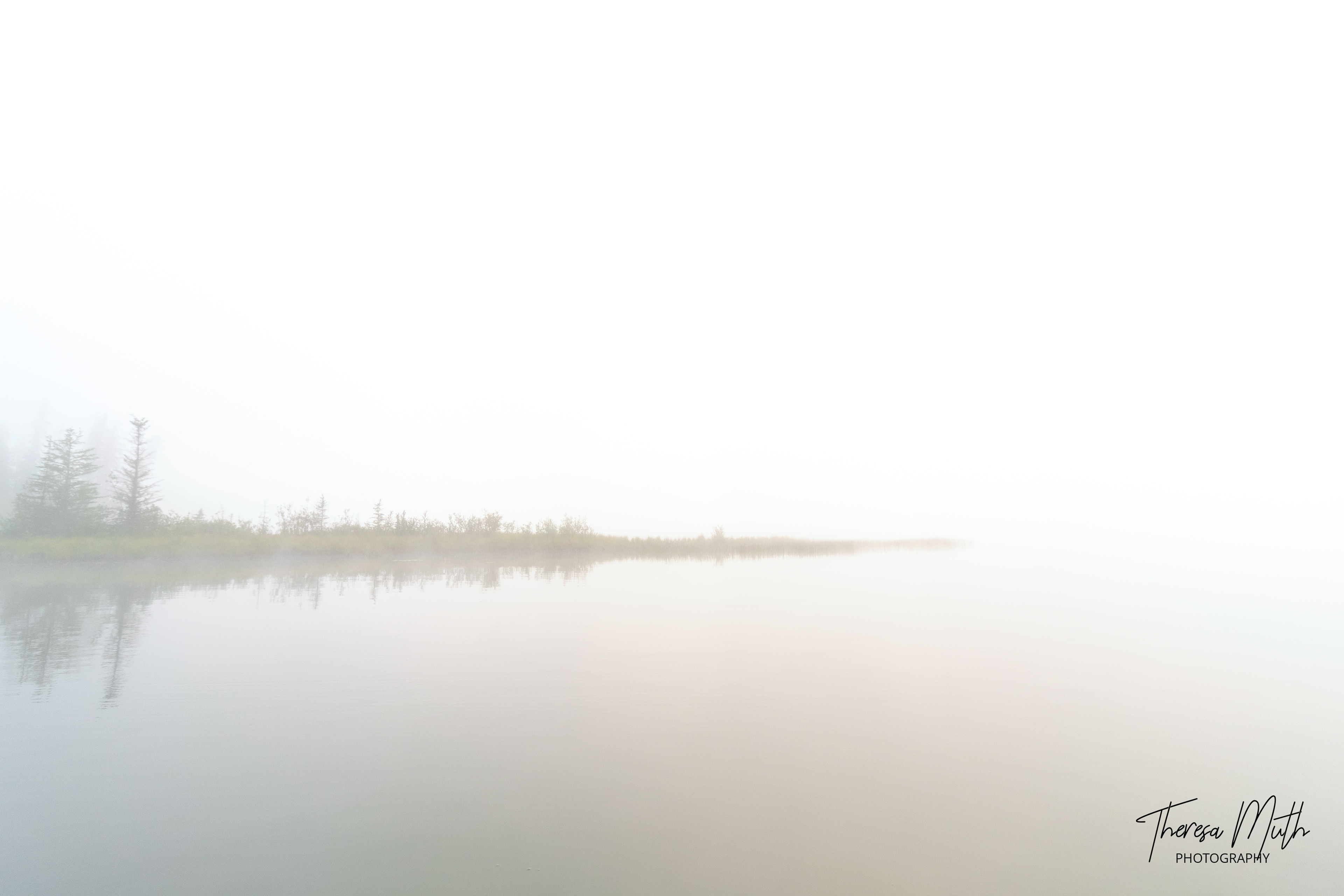 Jarvis Lake, Alberta