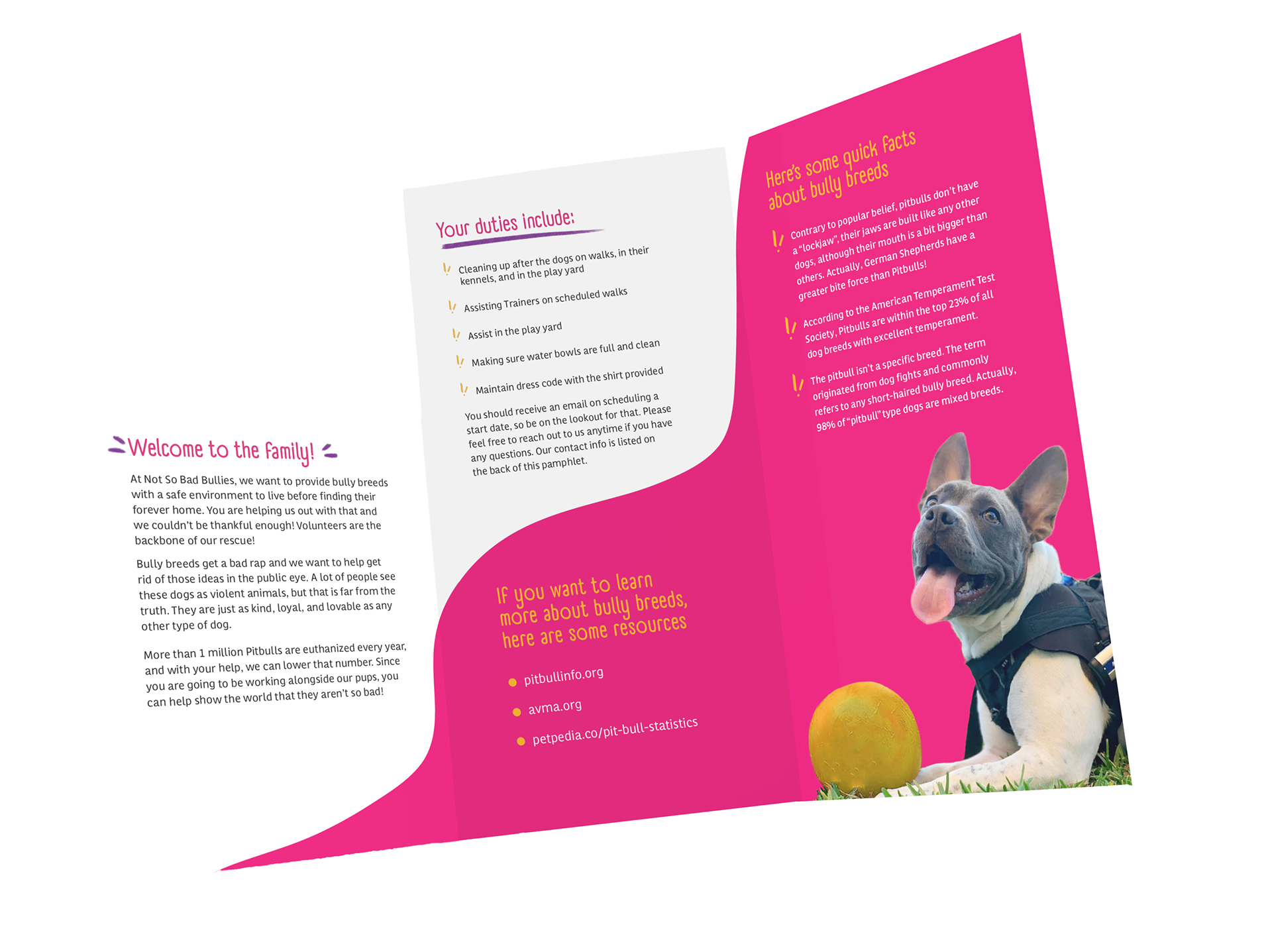 VOLUNTEER BROCHURE