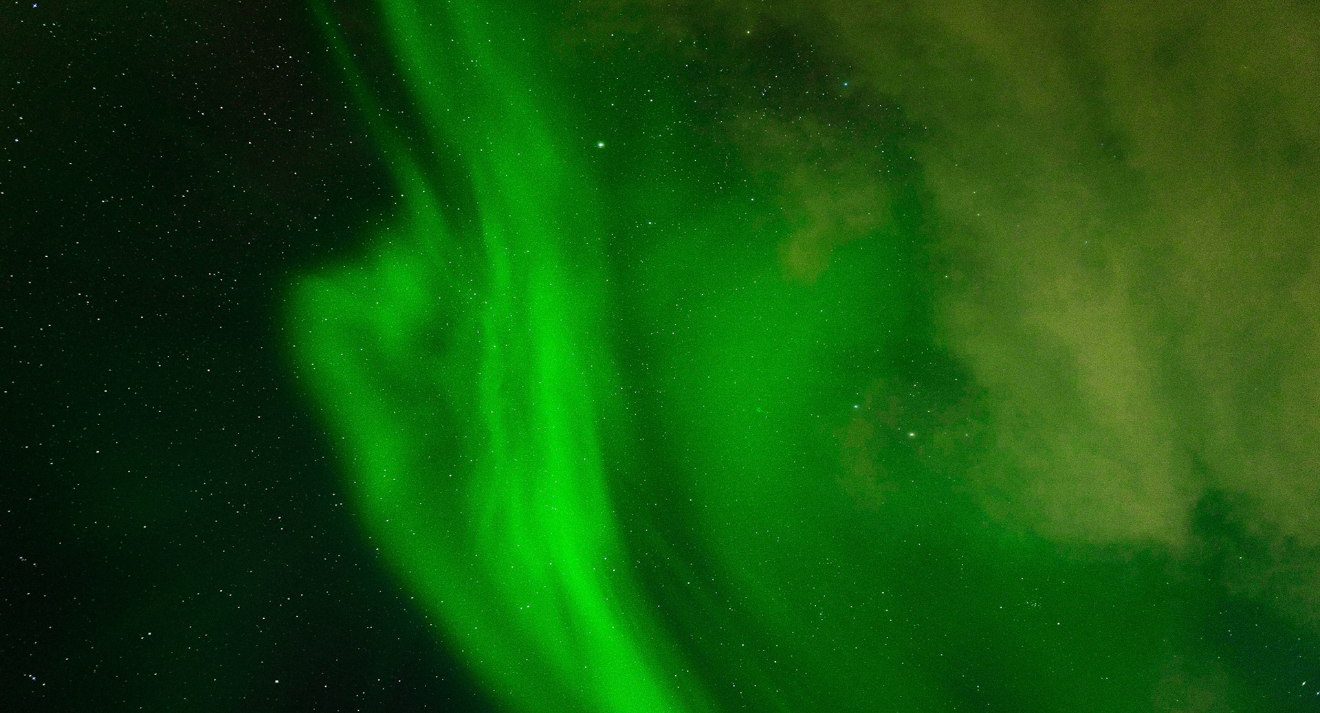 Don't forget to look up.